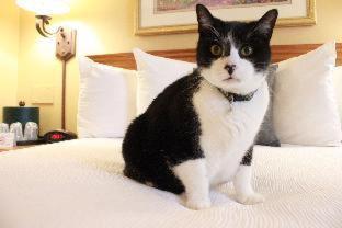 Hotel Western Merrimack Valley